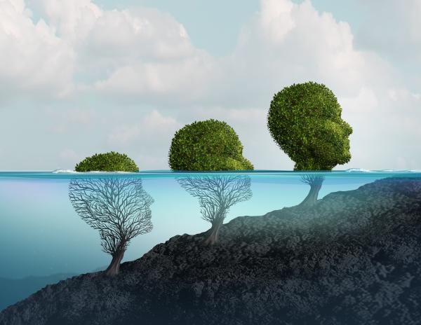 Career Concerns and Psychotherapy